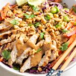 Thai Peanut Noodle Salad With Chicken - Wellness by Kay