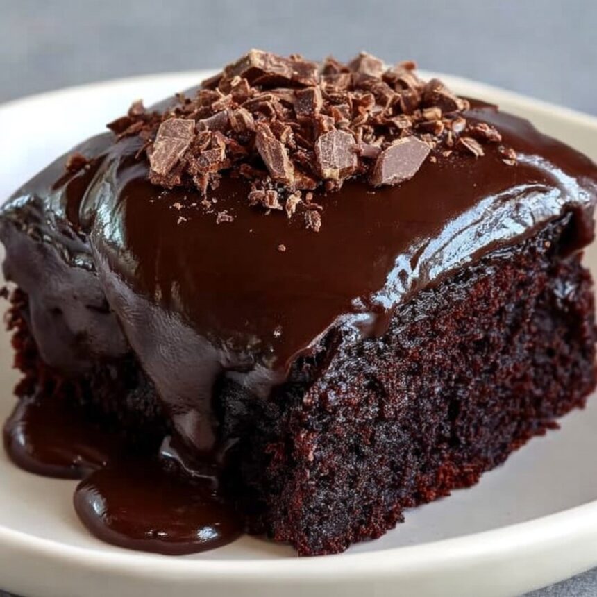 Chocolate Craving Cake - Snack On Meat