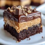 Chocolate Peanut Butter Poke Cake - Snack On Meat