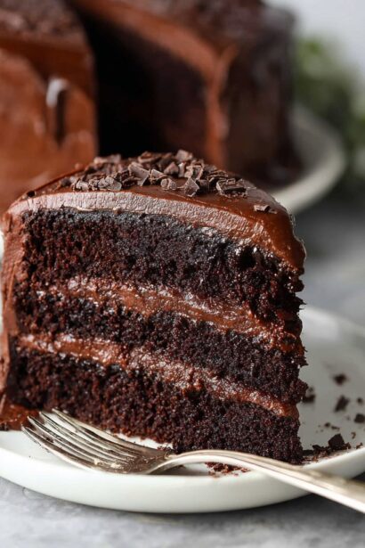 Moist Chocolate Cake with Chocolate Fudge Frosting - Snack On Meat