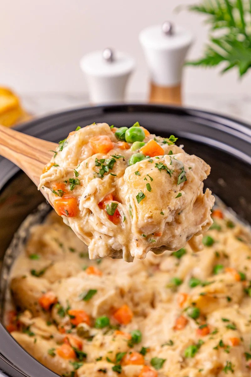 Crockpot Chicken & Dumplings with Canned Biscuits | She's Not Cookin'