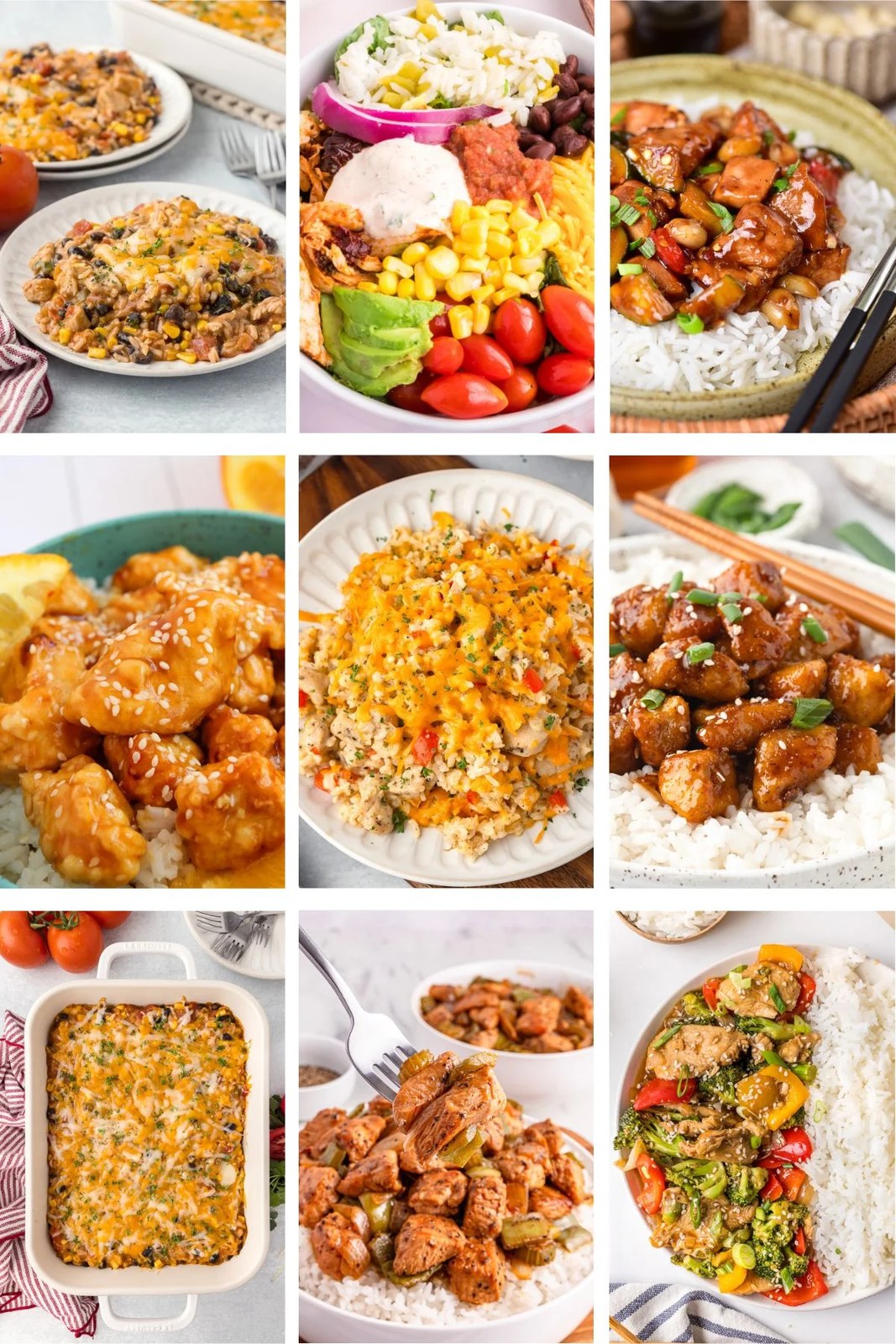 Easy Chicken and Rice Dinner Ideas | She's Not Cookin'